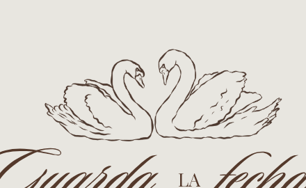 Dos cisnes frente a frente